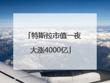 特斯拉市值一夜大涨4000亿